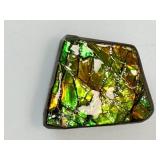 Ammolite (Korite): 10 gm./.4 oz. Comes in its own box with Certificate of Authenticity. Discovered in Alberta, Canada and is over 70 million years old