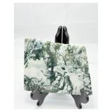 Stunning Tree Agate Slab: 544 gm./1 lb.3 oz.