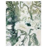 Stunning Tree Agate Slab: 544 gm./1 lb.3 oz.