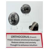 Orthocerus Fossil Lot of 3-Sphere 305 gm./10.8 oz., Egg 185 gm./6.6 oz. and Heart 53 gm./1.9 oz. Total weight of lot=550 gm/1 lb. 9 oz.