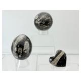 Orthocerus Fossil Lot of 3-Sphere 305 gm./10.8 oz., Egg 185 gm./6.6 oz. and Heart 53 gm./1.9 oz. Total weight of lot=550 gm/1 lb. 9 oz.