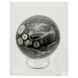 Orthocerus Fossil Lot of 3-Sphere 305 gm./10.8 oz., Egg 185 gm./6.6 oz. and Heart 53 gm./1.9 oz. Total weight of lot=550 gm/1 lb. 9 oz.