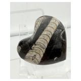 Orthocerus Fossil Lot of 3-Sphere 305 gm./10.8 oz., Egg 185 gm./6.6 oz. and Heart 53 gm./1.9 oz. Total weight of lot=550 gm/1 lb. 9 oz.