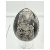 Orthocerus Fossil Lot of 3-Sphere 305 gm./10.8 oz., Egg 185 gm./6.6 oz. and Heart 53 gm./1.9 oz. Total weight of lot=550 gm/1 lb. 9 oz.