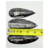 Orthocerus Fossil Lot of 3:  272gm/9.6oz