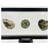 Ocean Jasper Lot of 3 Polished Palmstones in 3D Floating Frame
