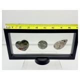 Ocean Jasper Lot of 3 Polished Palmstones in 3D Floating Frame