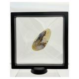 Orca Agate palmstone in 3D Floating Frame: 219 gm./7.7 oz.