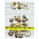 Ocean Jasper Polished Tumbles Lot: 363gm/12.8oz