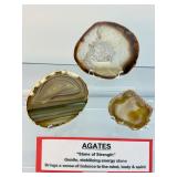 Agate Slices Lot of 3: 174gm/6.1oz.