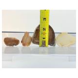 Polished Agate Slices Lot of 7: 234gm./8.3oz.