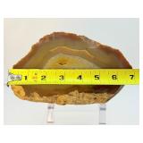 Agate Solid Geode Polished Half: 1.25 kilo/2 lb.12 oz.