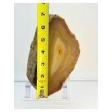 Agate Solid Geode Polished Half: 1.25 kilo/2 lb.12 oz.