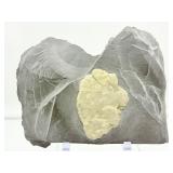 Pyrite Sun in Matrix Plate 1 kilo/2.2 lb.