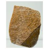 Large Palm Wood Fossil Chunk: 311gm/11oz.