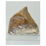 Large Palm Wood Fossil Chunk: 311gm/11oz.