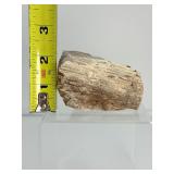 Large Palm Wood Fossil Chunk: 311gm/11oz.