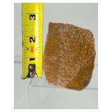 Large Palm Wood Fossil Chunk: 311gm/11oz.