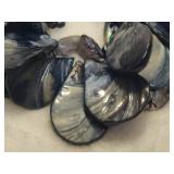 925 Barse Abalone Style Shell Elastic Bracelet & Earring Set 925 Barse Abalone Style Shell Elastic Bracelet & Earring Set