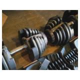 Bowflex® SelectTech® Dumbbell Set BD1090 Bowflex® SelectTech® Dumbbell Set BD1090