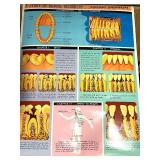 Vintage Dental and Medical Book Lot with Dental Disorders Chart Vintage Dental and Medical Book Lot with Dental Disorders Chart