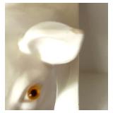 Pair of White Ceramic Pig Head Wall Mounts Pair of White Ceramic Pig Head Wall Mounts