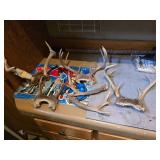 Assorted Deer Antlers