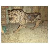 Assorted Home Decor Items