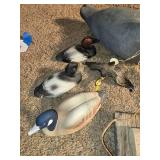 Assorted Duck Home Decor Items