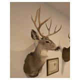 Deer Wall Mount