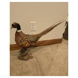 Full Body Ringneck Pheasant Mount