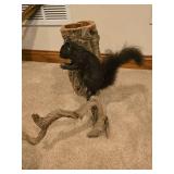 Black Squirrel Mount
