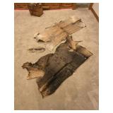 (3) Animal Hides