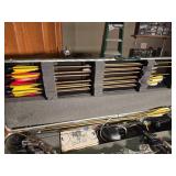 Compound Bow & Arrows in Hard Shell Case