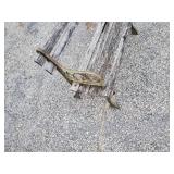 Small Docorative Childrens or garden Décor Bench Wood and Cast Iron