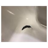 Lot of Assorted Bathtubs Various Models and Conditions Customer Returns See Pictures See Pictures