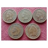 (5) Indian Pennies