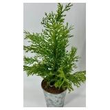 Noel Sign & Holiday Decor Bundle: Wreath, Candles, Origami Stars & Mini Tree