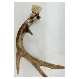 Winter Botanic Gardens Decor Set & Antler, Ceramic Jar & Framed Print