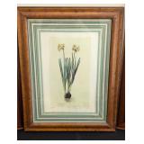 ML - Set of 3 Framed Botanical Prints with Wood Frames