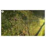 Set of 4 Metal Tomato Cages for Garden Support