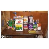 Assorted Household Chemicals, Paints, and Sprays Collection