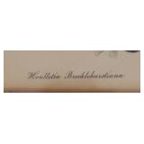 LR - "Houllletia Brocklehurstiana" Print by  S. Holden