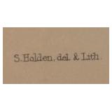 LR - "Houllletia Brocklehurstiana" Print by  S. Holden