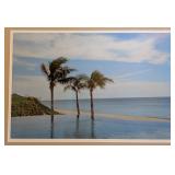 ML - Framed Coastal Palm Photograph