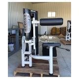 Magnum Lower Back Extension Machine
