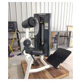 Magnum Lower Back Extension Machine
