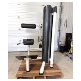 Magnum Lower Back Extension Machine