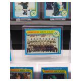 Vintage 1979 - 80 Topps Hockey Minnesota North Stars Team Set