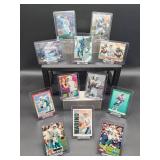 (12) Assorted Dolphin